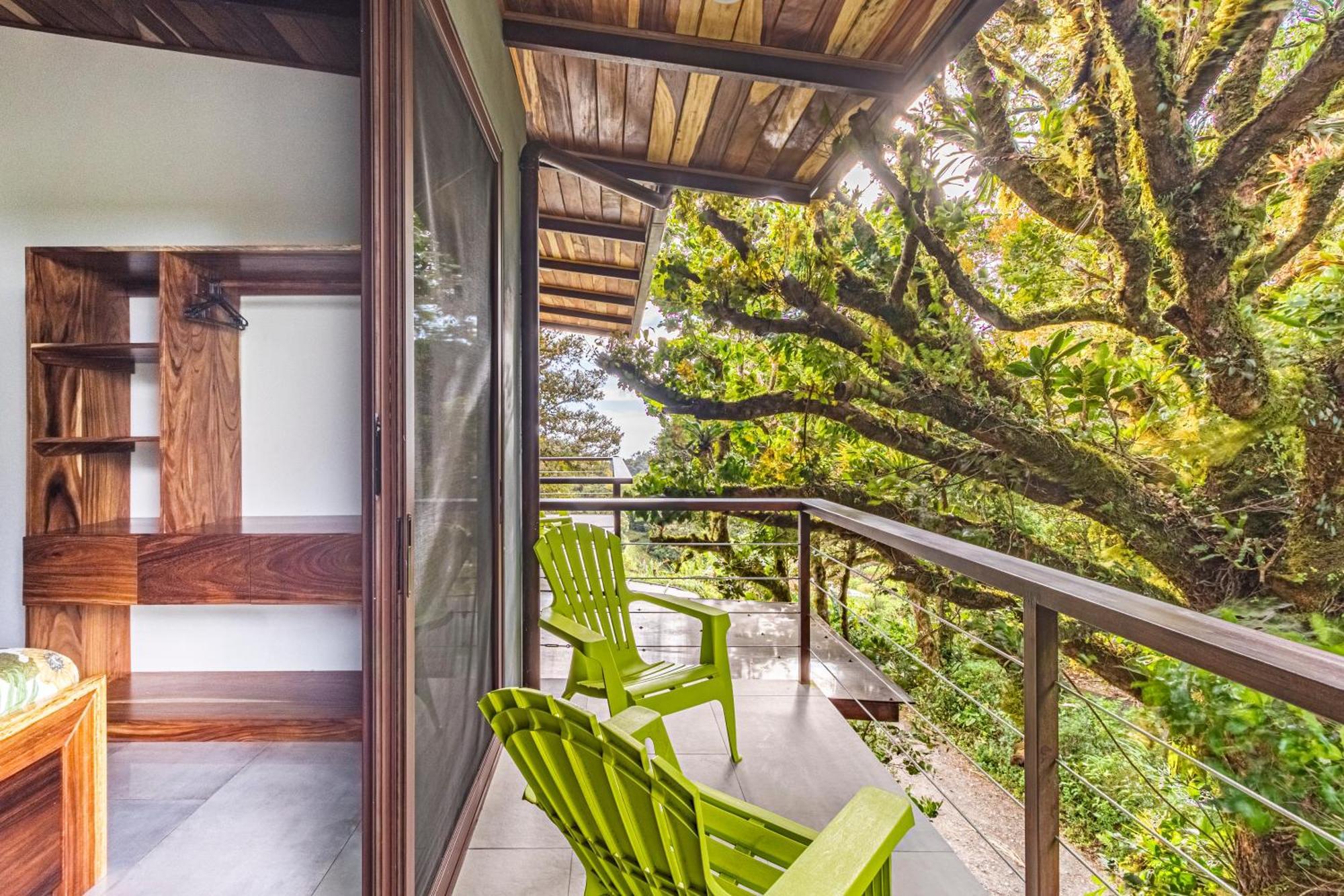 Cougar Monteverde Ngoại thất bức ảnh